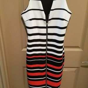 Form Fitting Buisness Dress